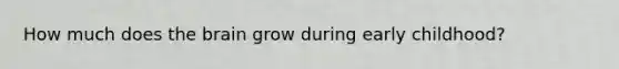 How much does the brain grow during early childhood?