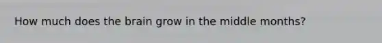 How much does the brain grow in the middle months?