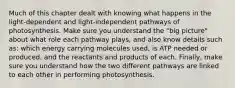 Much of this chapter dealt with knowing what happens in the light-dependent and light-independent pathways of photosynthesis. Make sure you understand the "big picture" about what role each pathway plays, and also know details such as: which energy carrying molecules used, is ATP needed or produced, and the reactants and products of each. Finally, make sure you understand how the two different pathways are linked to each other in performing photosynthesis.
