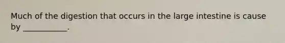 Much of the digestion that occurs in the large intestine is cause by ___________.