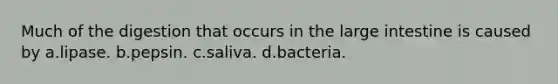 Much of the digestion that occurs in the large intestine is caused by a.lipase. b.pepsin. c.saliva. d.bacteria.