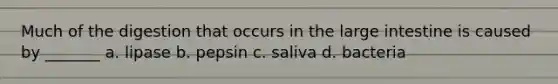 Much of the digestion that occurs in the large intestine is caused by _______ a. lipase b. pepsin c. saliva d. bacteria