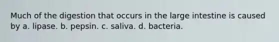 Much of the digestion that occurs in the large intestine is caused by a. lipase. b. pepsin. c. saliva. d. bacteria.