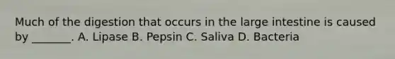 Much of the digestion that occurs in the <a href='https://www.questionai.com/knowledge/kGQjby07OK-large-intestine' class='anchor-knowledge'>large intestine</a> is caused by _______. A. Lipase B. Pepsin C. Saliva D. Bacteria