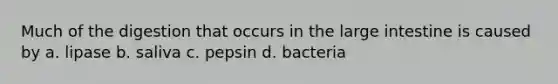 Much of the digestion that occurs in the large intestine is caused by a. lipase b. saliva c. pepsin d. bacteria