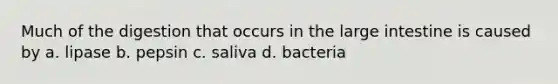 Much of the digestion that occurs in the large intestine is caused by a. lipase b. pepsin c. saliva d. bacteria