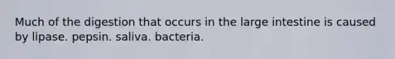 Much of the digestion that occurs in the large intestine is caused by lipase. pepsin. saliva. bacteria.