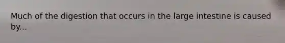Much of the digestion that occurs in the large intestine is caused by...