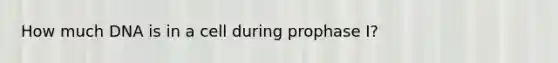 How much DNA is in a cell during prophase I?