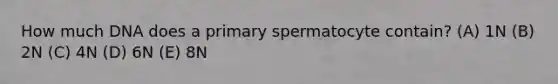 How much DNA does a primary spermatocyte contain? (A) 1N (B) 2N (C) 4N (D) 6N (E) 8N