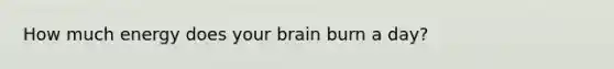 How much energy does your brain burn a day?