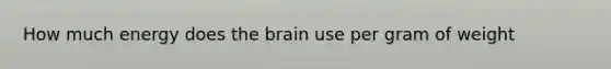 How much energy does the brain use per gram of weight