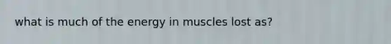 what is much of the energy in muscles lost as?