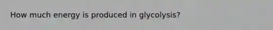 How much energy is produced in glycolysis?