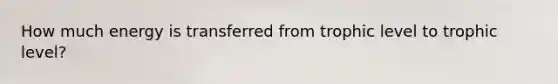How much energy is transferred from trophic level to trophic level?