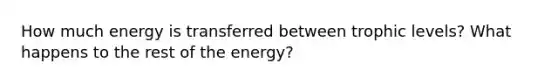 How much energy is transferred between trophic levels? What happens to the rest of the energy?