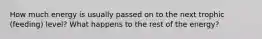 How much energy is usually passed on to the next trophic (feeding) level? What happens to the rest of the energy?