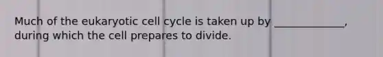 Much of the eukaryotic cell cycle is taken up by _____________, during which the cell prepares to divide.