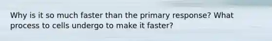 Why is it so much faster than the primary response? What process to cells undergo to make it faster?