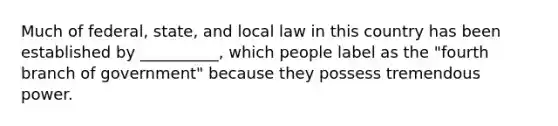 Much of federal, state, and local law in this country has been established by __________, which people label as the "fourth branch of government" because they possess tremendous power.