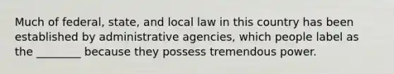 Much of federal, state, and local law in this country has been established by administrative agencies, which people label as the ________ because they possess tremendous power.