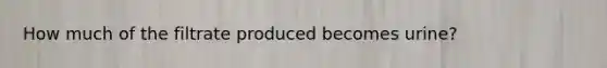 How much of the filtrate produced becomes urine?