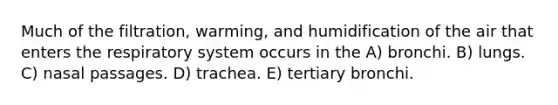 Much of the filtration, warming, and humidification of the air that enters the respiratory system occurs in the A) bronchi. B) lungs. C) nasal passages. D) trachea. E) tertiary bronchi.