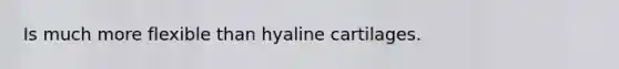 Is much more flexible than hyaline cartilages.