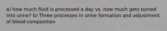 a) how much fluid is processed a day vs. how much gets turned into urine? b) Three processes in urine formation and adjustment of blood composition