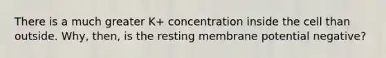 There is a much greater K+ concentration inside the cell than outside. Why, then, is the resting membrane potential negative?