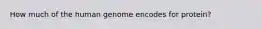How much of the human genome encodes for protein?