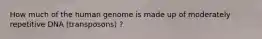 How much of the human genome is made up of moderately repetitive DNA (transposons) ?