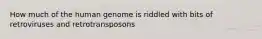 How much of the human genome is riddled with bits of retroviruses and retrotransposons