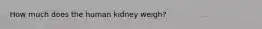 How much does the human kidney weigh?