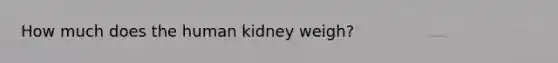 How much does the human kidney weigh?