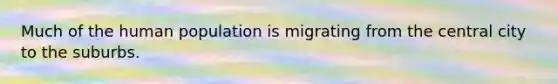 Much of the human population is migrating from the central city to the suburbs.