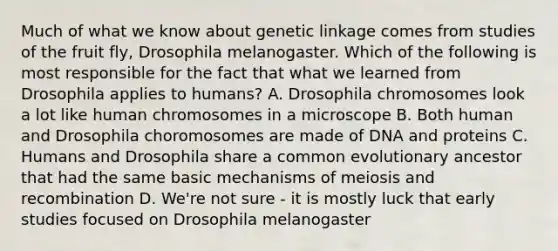 Much of what we know about genetic linkage comes from studies of the fruit fly, Drosophila melanogaster. Which of the following is most responsible for the fact that what we learned from Drosophila applies to humans? A. Drosophila chromosomes look a lot like human chromosomes in a microscope B. Both human and Drosophila choromosomes are made of DNA and proteins C. Humans and Drosophila share a common evolutionary ancestor that had the same basic mechanisms of meiosis and recombination D. We're not sure - it is mostly luck that early studies focused on Drosophila melanogaster