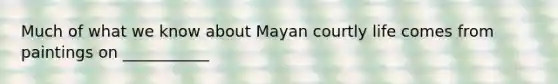 Much of what we know about Mayan courtly life comes from paintings on ___________