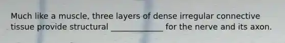 Much like a muscle, three layers of dense irregular connective tissue provide structural _____________ for the nerve and its axon.