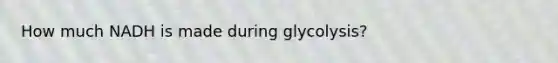 How much NADH is made during glycolysis?