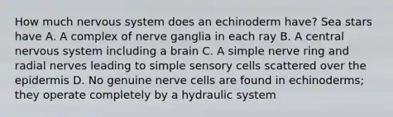 How much nervous system does an echinoderm have? Sea stars have A. A complex of nerve ganglia in each ray B. A central nervous system including a brain C. A simple nerve ring and radial nerves leading to simple sensory cells scattered over the epidermis D. No genuine nerve cells are found in echinoderms; they operate completely by a hydraulic system