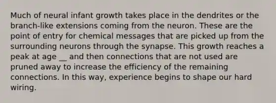 Much of neural infant growth takes place in the dendrites or the branch-like extensions coming from the neuron. These are the point of entry for chemical messages that are picked up from the surrounding neurons through the synapse. This growth reaches a peak at age __ and then connections that are not used are pruned away to increase the efficiency of the remaining connections. In this way, experience begins to shape our hard wiring.