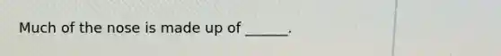 Much of the nose is made up of ______.