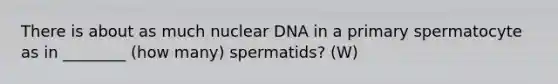 There is about as much nuclear DNA in a primary spermatocyte as in ________ (how many) spermatids? (W)