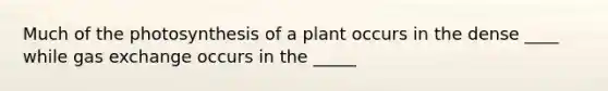 Much of the photosynthesis of a plant occurs in the dense ____ while gas exchange occurs in the _____