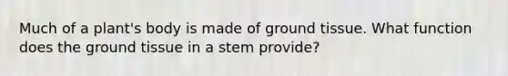 Much of a plant's body is made of ground tissue. What function does the ground tissue in a stem provide?