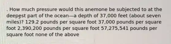 . How much pressure would this anemone be subjected to at the deepest part of the ocean—a depth of 37,000 feet (about seven miles)? 129.2 pounds per square foot 37,000 pounds per square foot 2,390,200 pounds per square foot 57,275,541 pounds per square foot none of the above