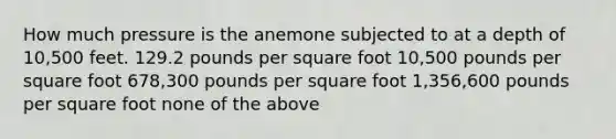 How much pressure is the anemone subjected to at a depth of 10,500 feet. 129.2 pounds per square foot 10,500 pounds per square foot 678,300 pounds per square foot 1,356,600 pounds per square foot none of the above