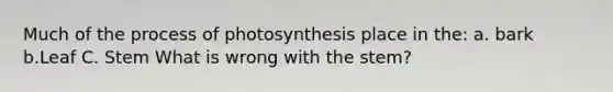 Much of the process of photosynthesis place in the: a. bark b.Leaf C. Stem What is wrong with the stem?