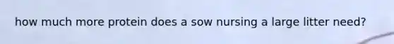 how much more protein does a sow nursing a large litter need?